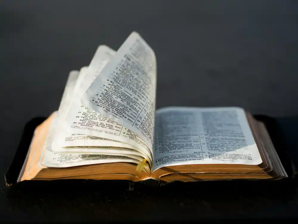 A picture of an open Bible with pages fanning over.